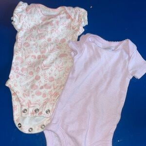Two short sleeve carter’s onesies VGUC